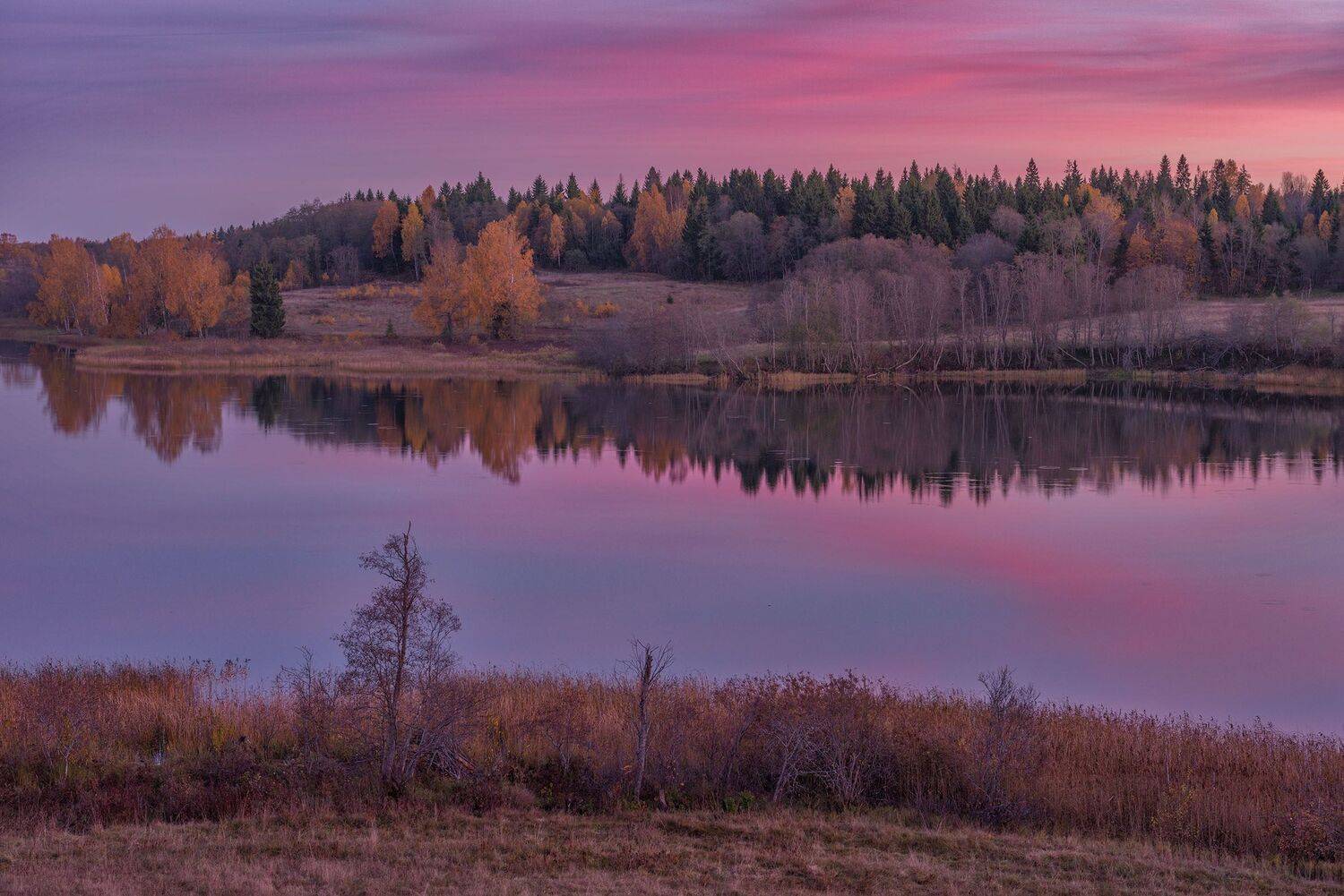 Фототуры С владимиром Рябковым, Андреапольские озера, осень., Владимир Рябков