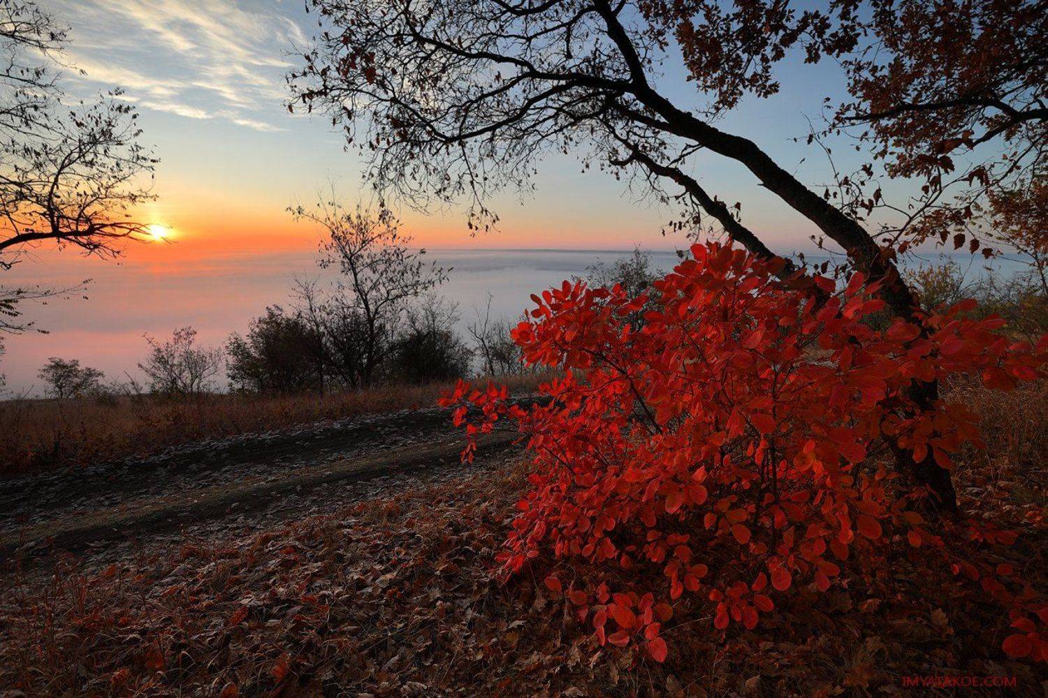 , Михаил Псарёв