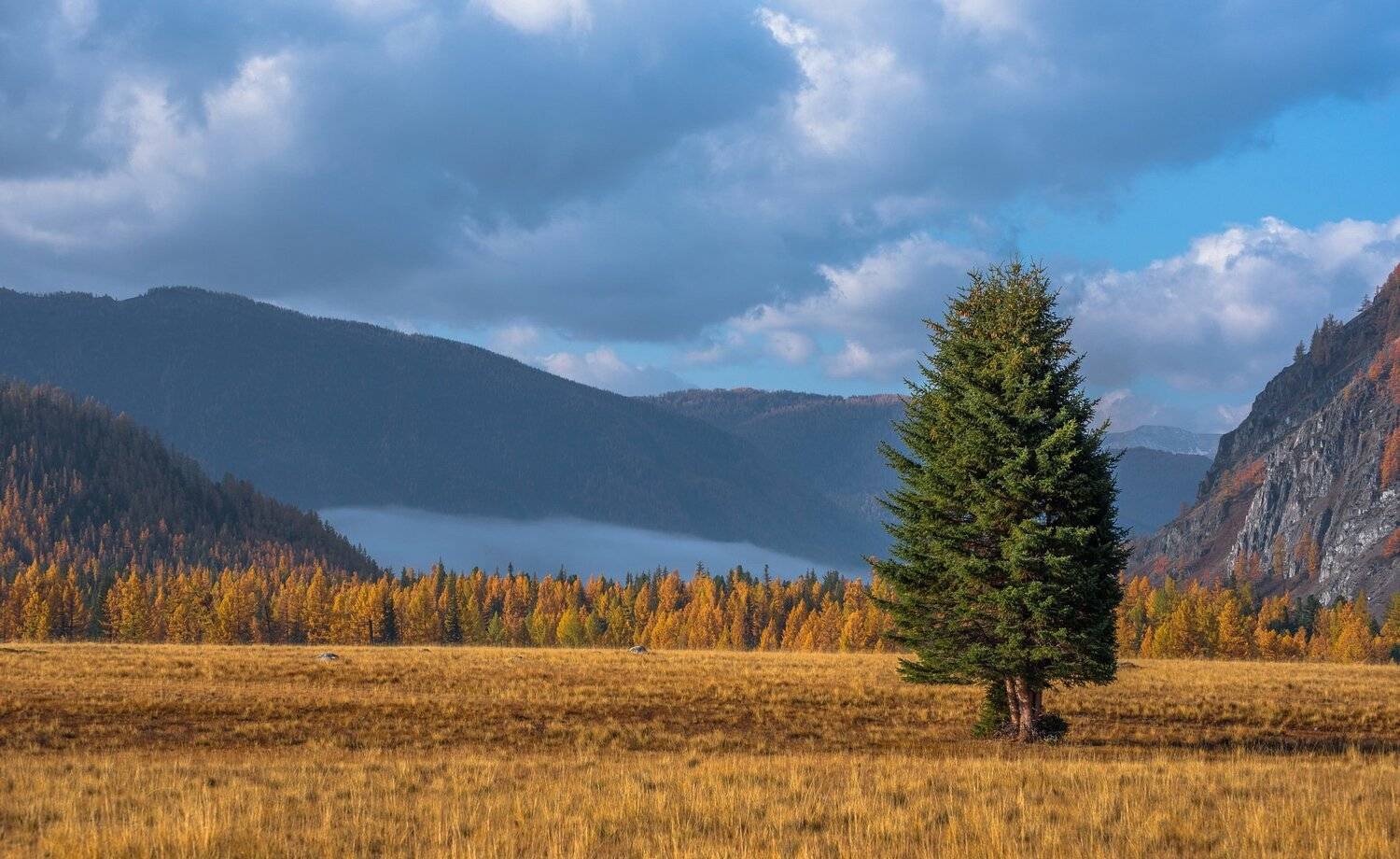 осень. алтай. горы., Евгений Дроботенко
