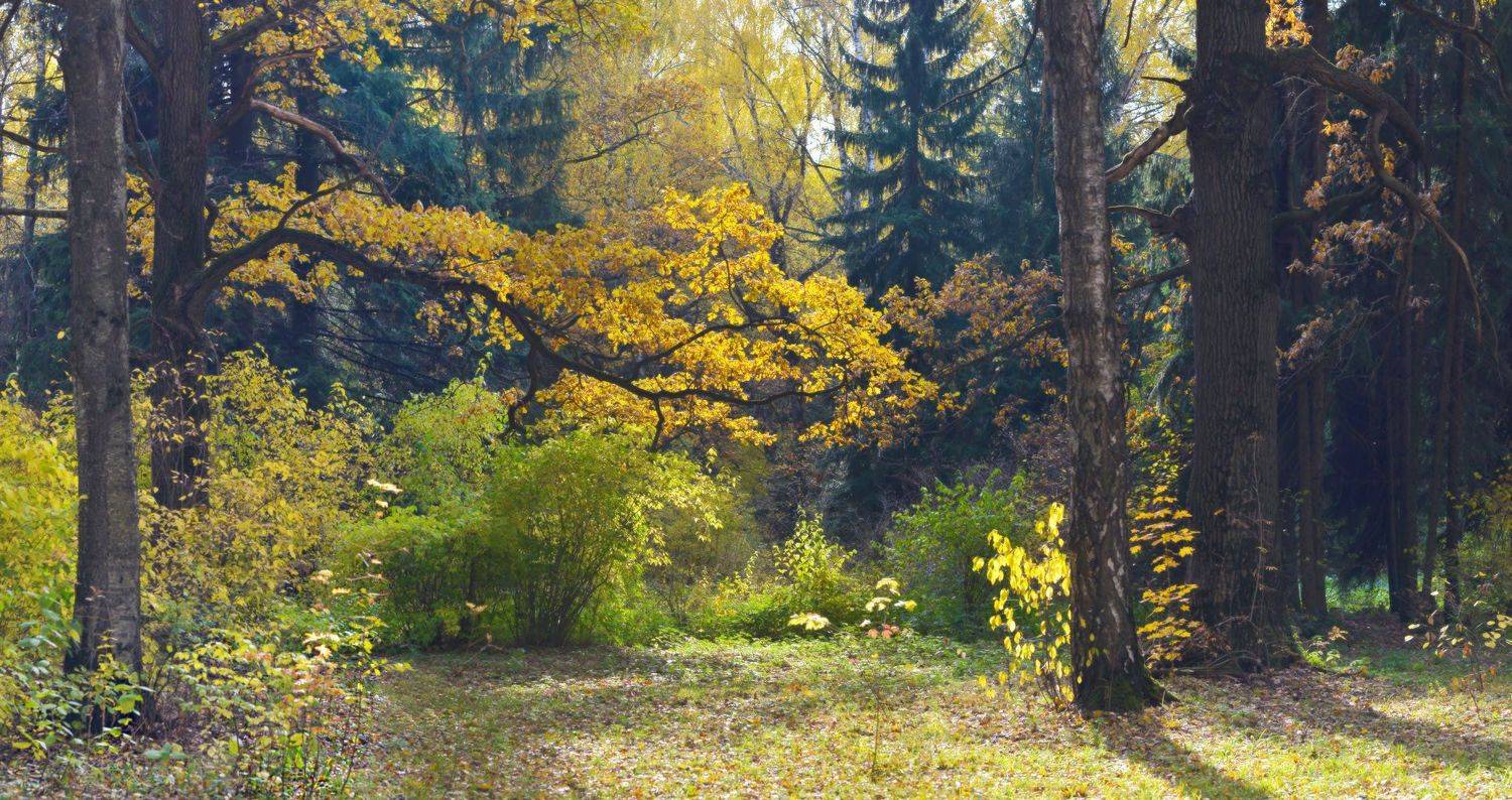 , Сергей Седов