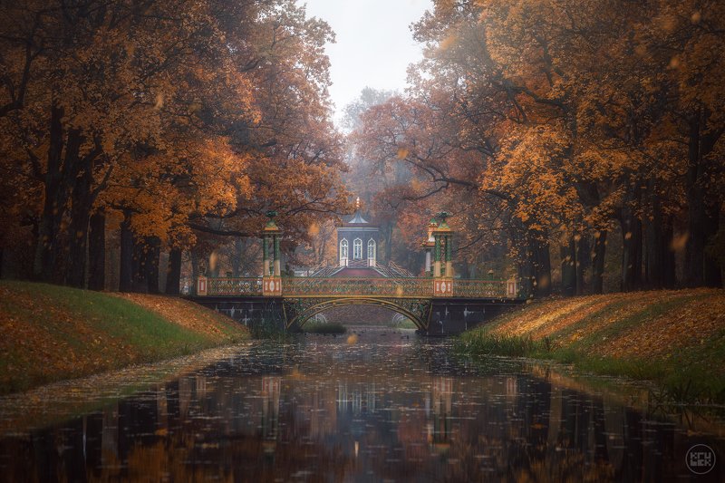 пушкин, осень, туман, парк Осеннее утро у Китайских мостиков фото превью