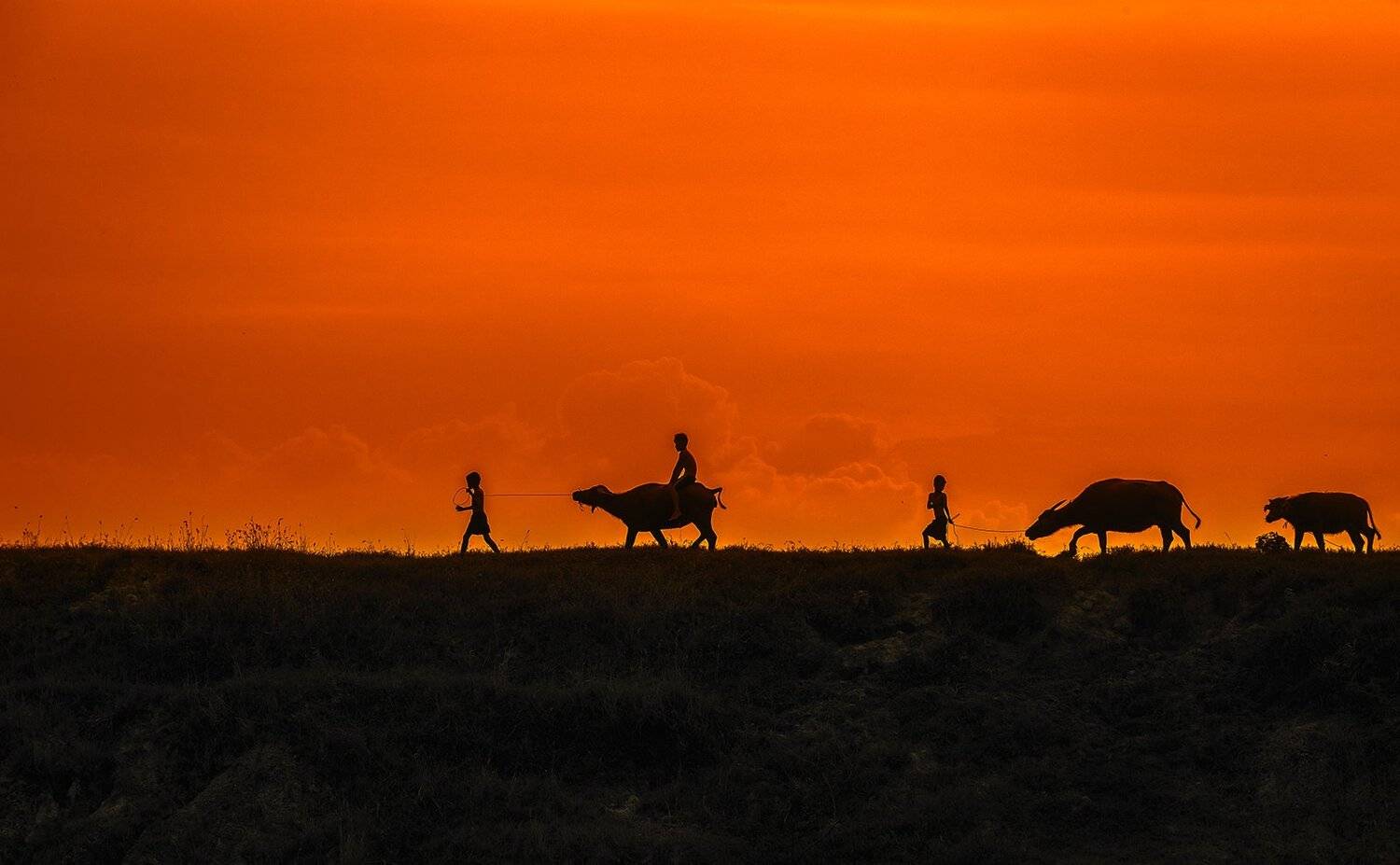 , vannguyenhop29@gmail.com