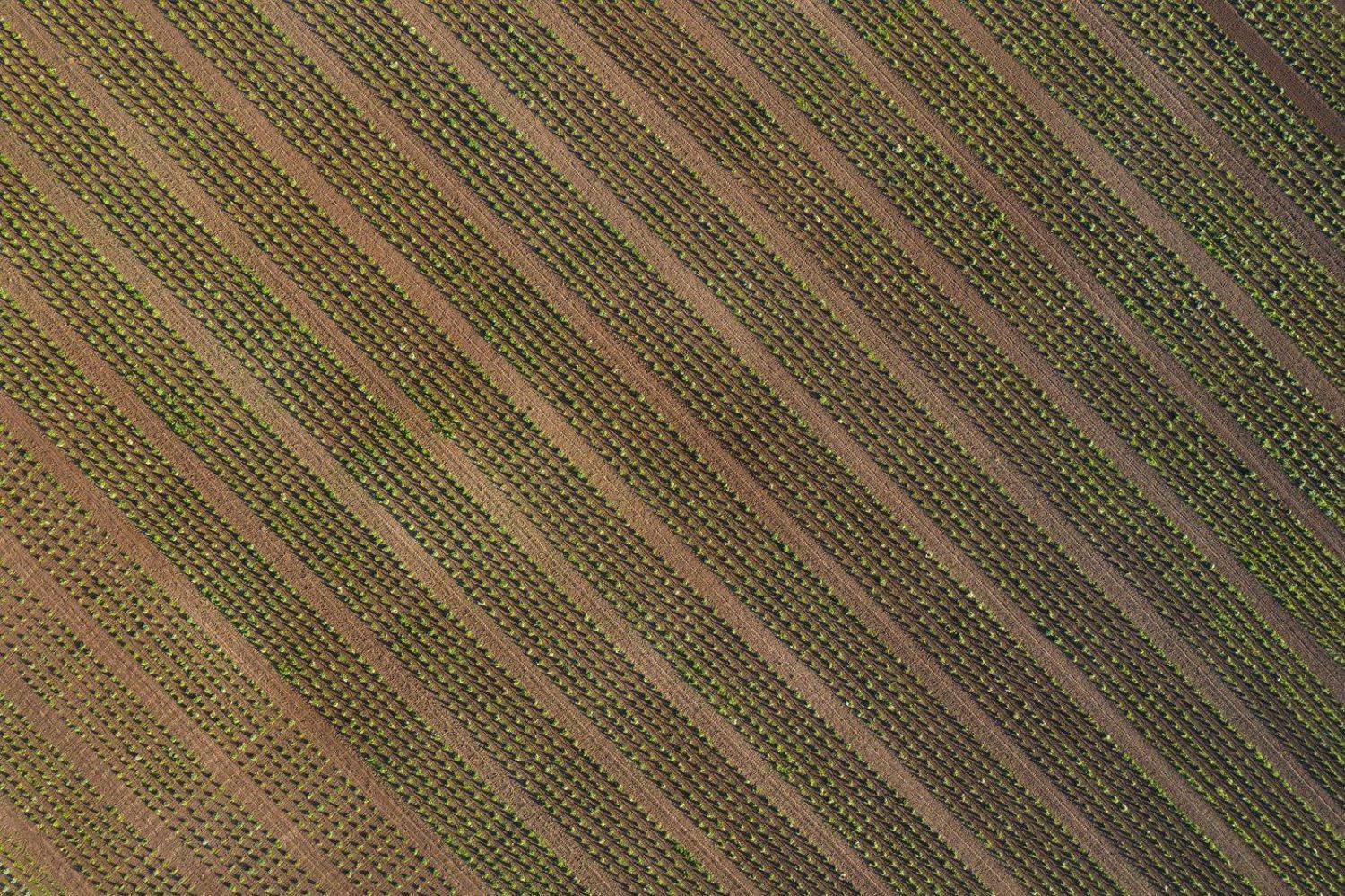 , Дмитрий Доронин