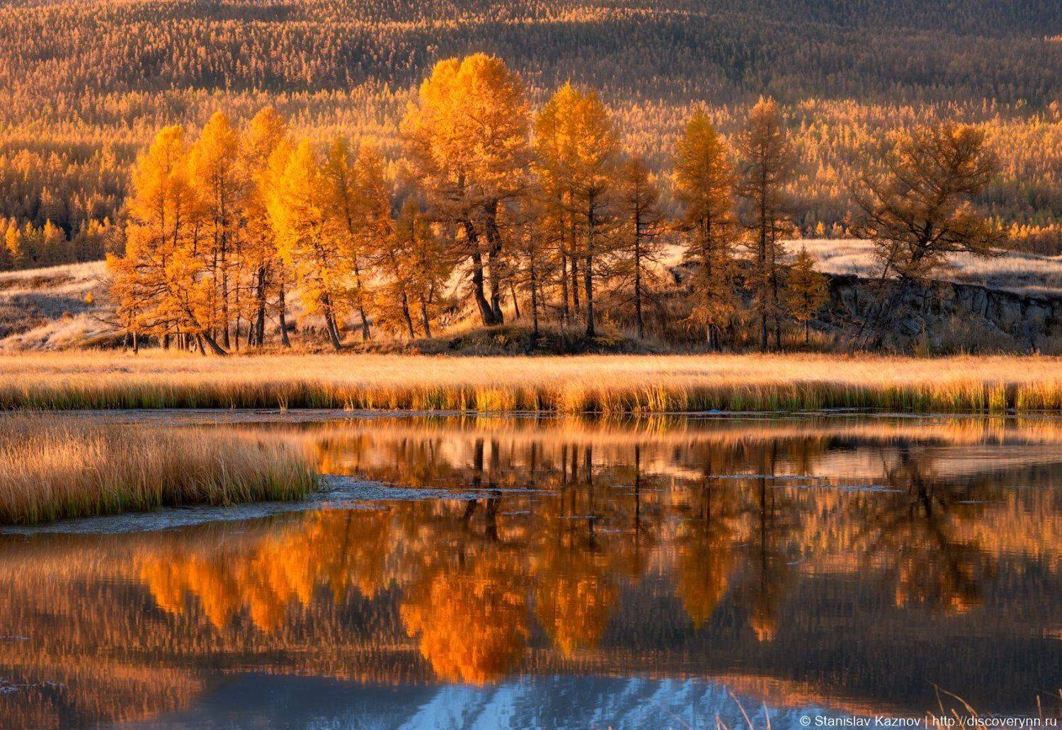 осень, Алтай, Станислав Казнов