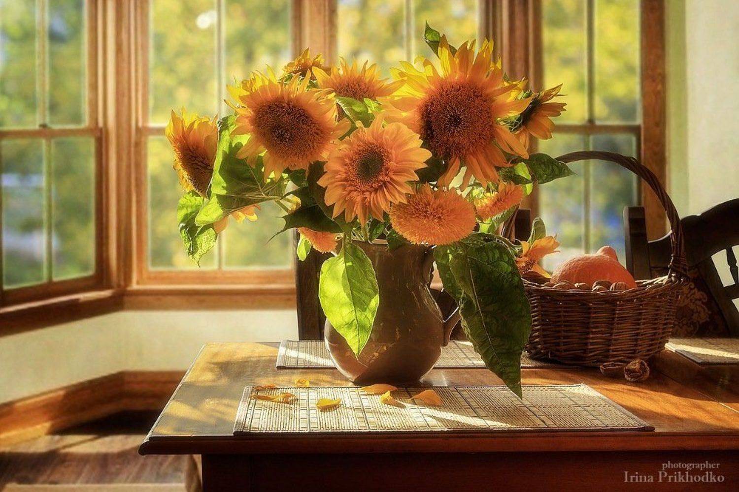 натюрморт, осень, осенний свет, букет, подсолнухи, интерьер, Ирина Приходько