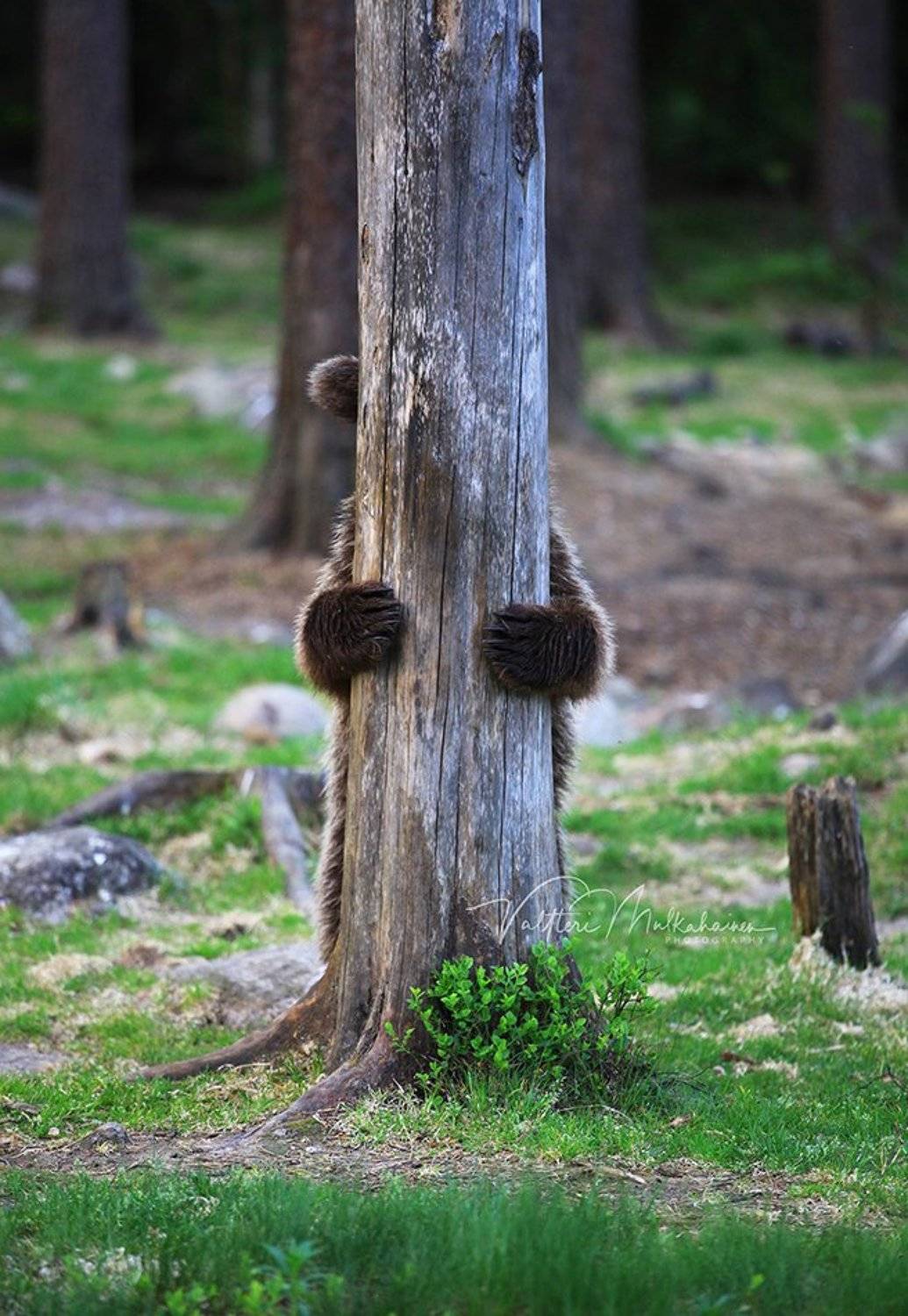 , Valtteri Mulkahainen