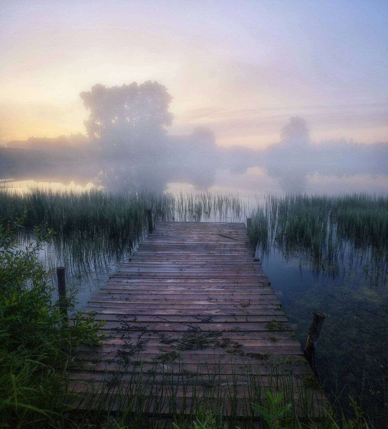 , Устюжанин Михаил