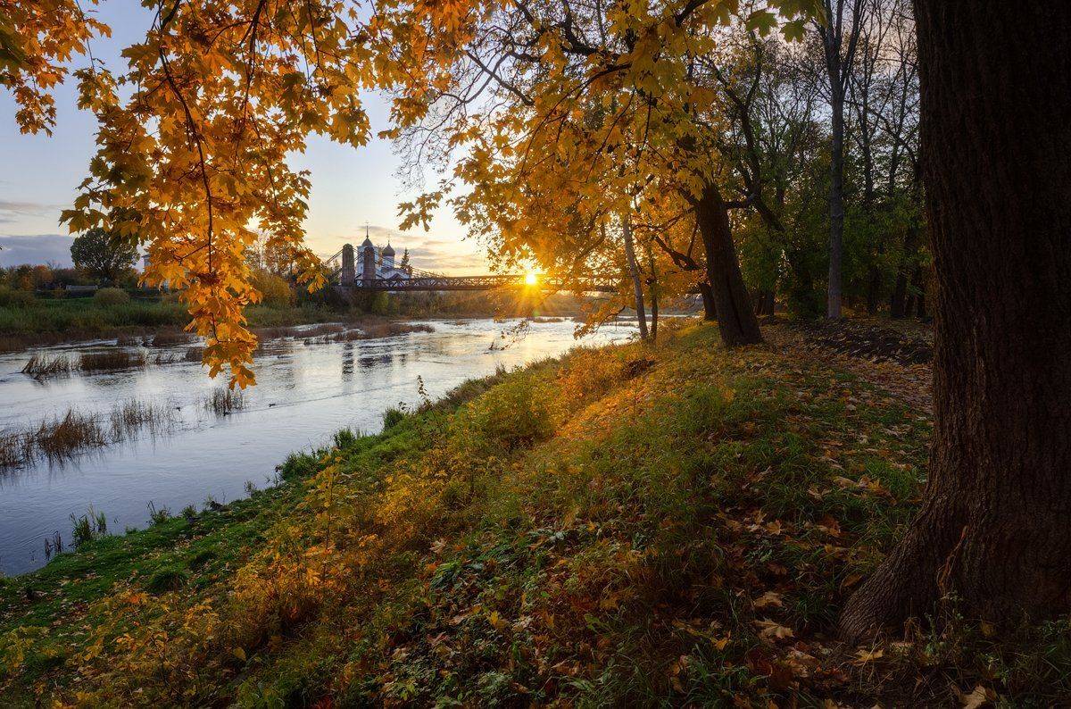 остров, осень, река, мост, псковская, Майя Афзаал