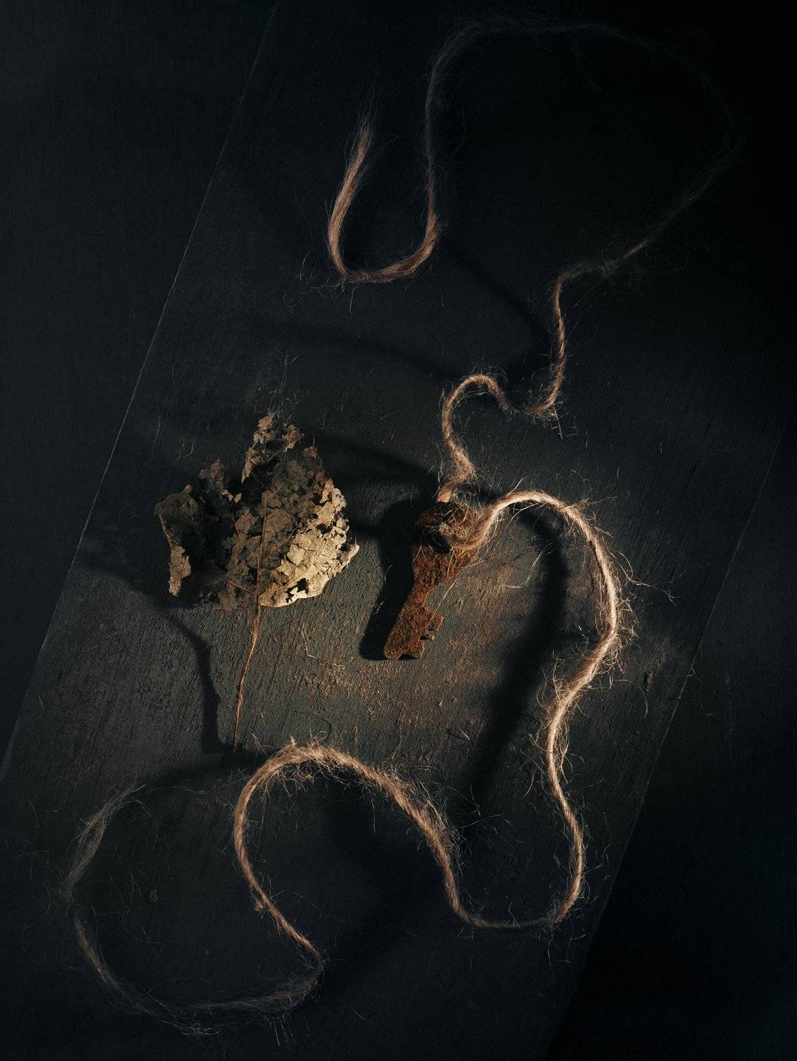 flatlay, ключ, лист, натюрморт, Наталья Голубева