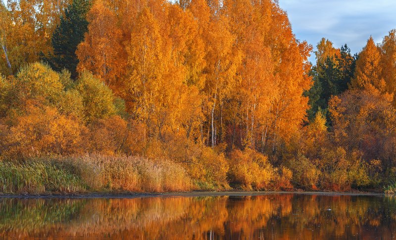 Золото осени фото превью