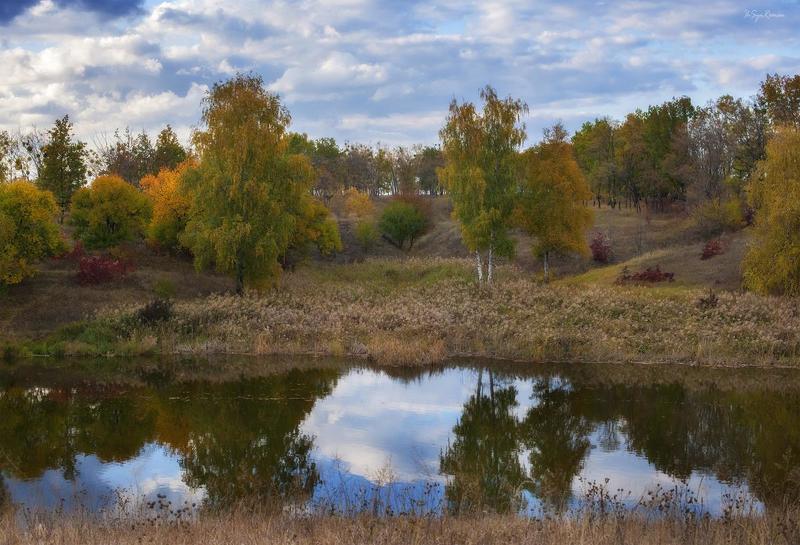 берег,день,лес,осень,пейзаж,река Осень яркая поёт ... фото превью