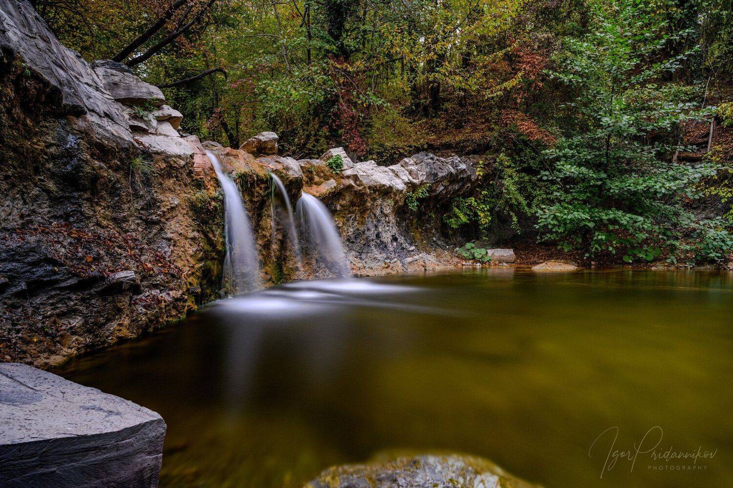 , Игорь Приданников