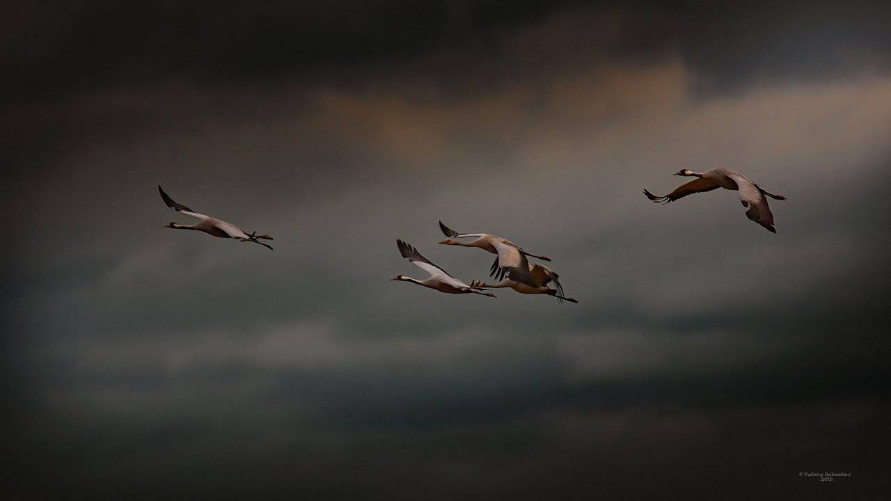 , Валерий Субачев