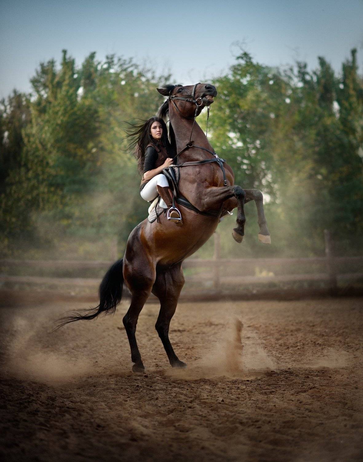 #лошадь#свеча#, Борис Тменов