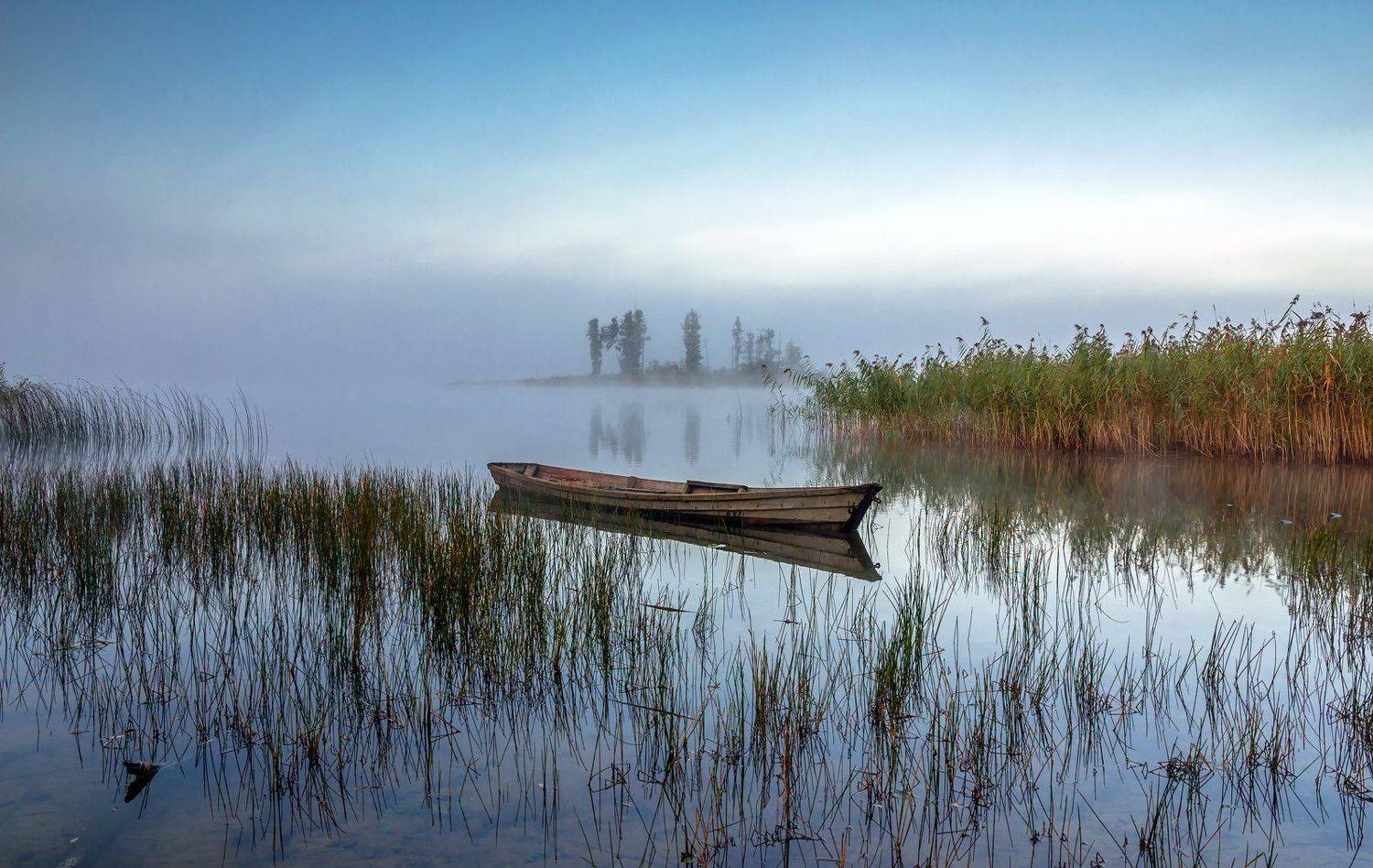 , Руслан Авдевич