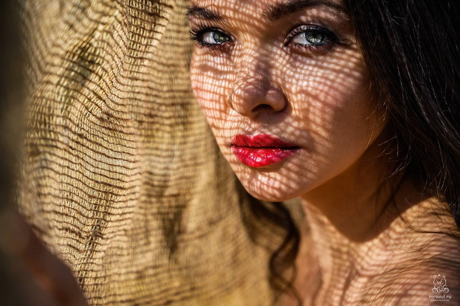 Михаил Решетников, портрет, Михаил Решетников