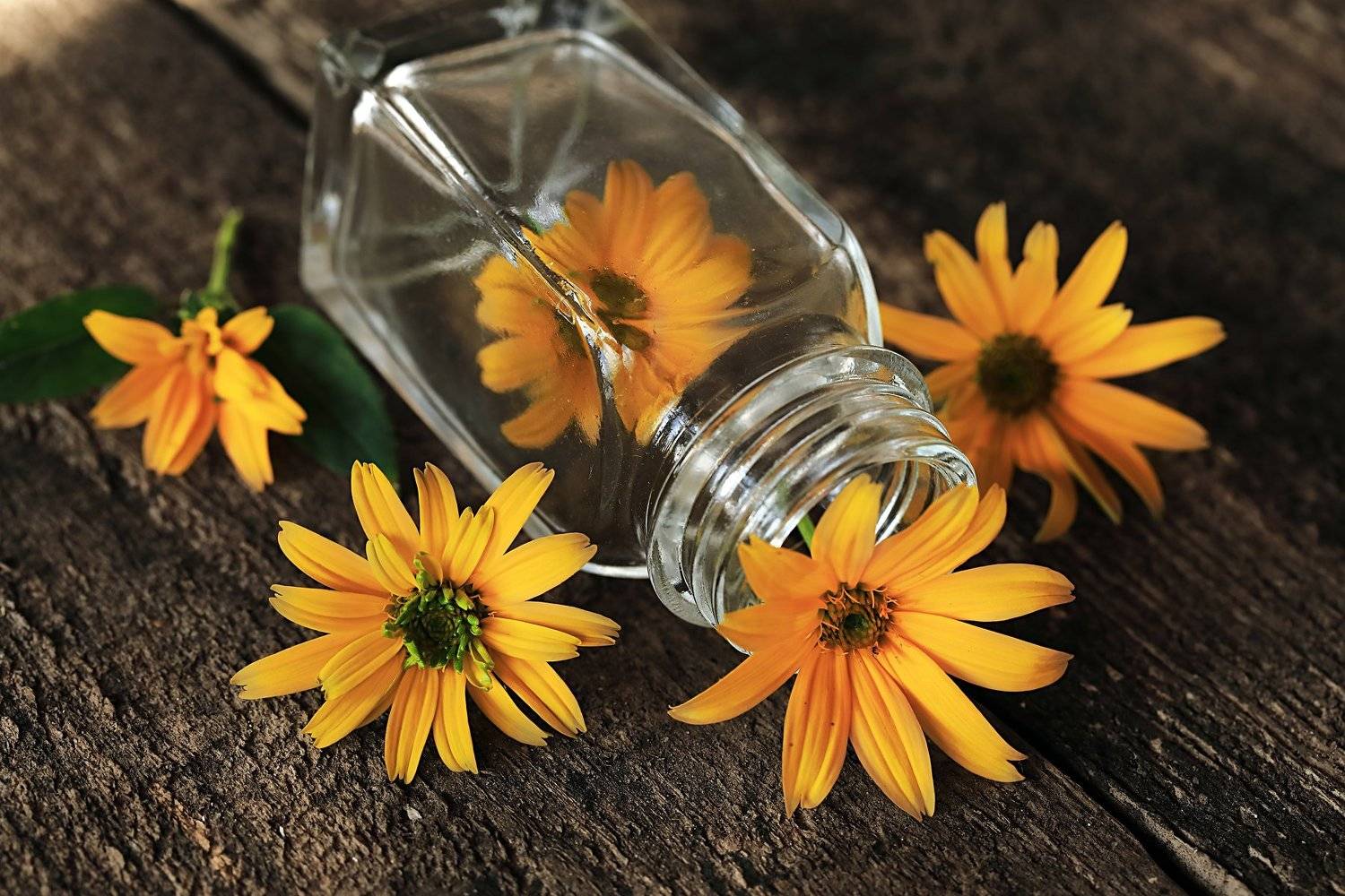 , Наталья Бочкарева