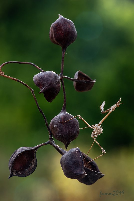 БАЛАНС СИСТЕМЫ фото превью
