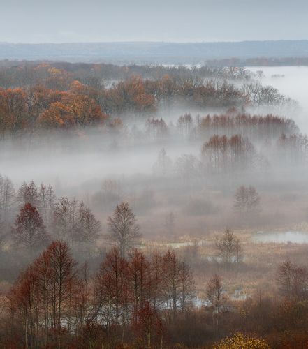 Во время осени