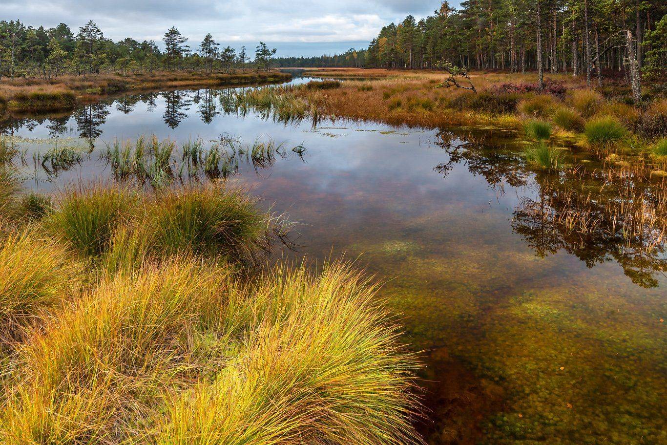 , Александр Абросимов