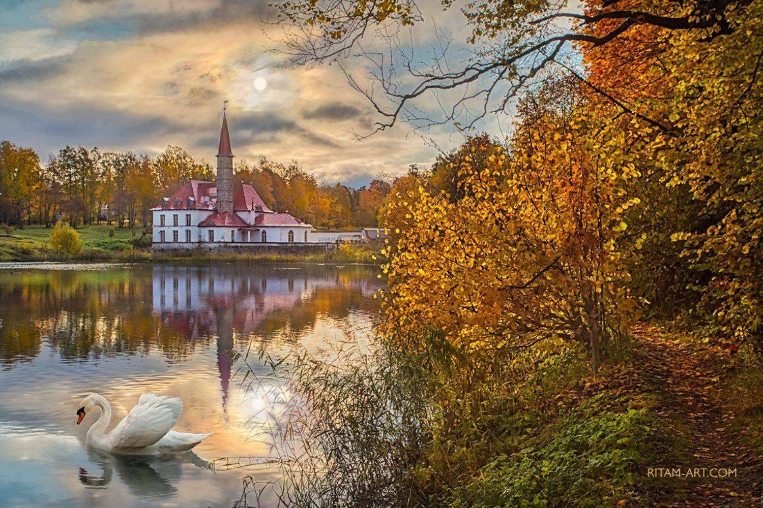 гатчина, петербург, санкт-петербург, гатчинский, парк, приорат, дворец, лебедь, осень, парк, озеро, пруд, природа, птица, стихи, поэзия, ритам, мельгунов, ленинградская область, листва, листья, осенний, gatchina, park, palace, swan, autumn, lake, pond, sa, Ритам Мельгунов