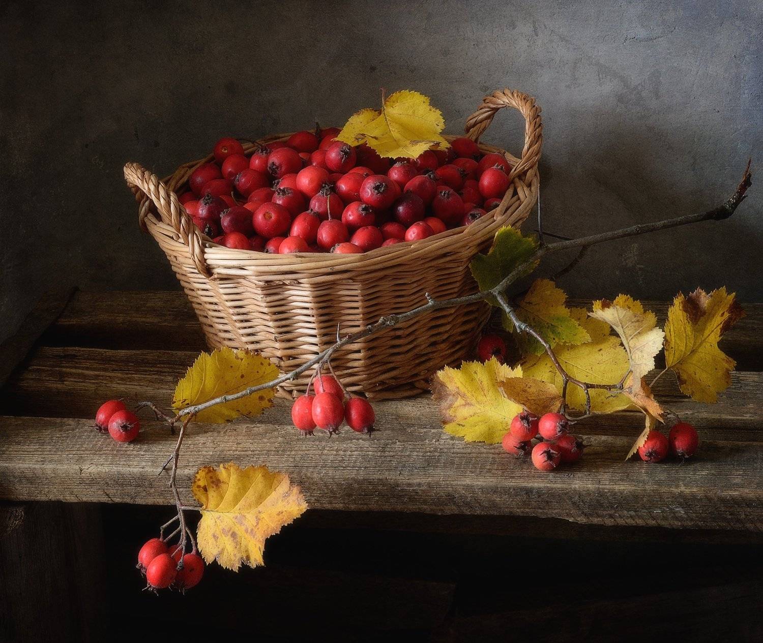 натюрморт,still life,боярышник,осень, Наталия К