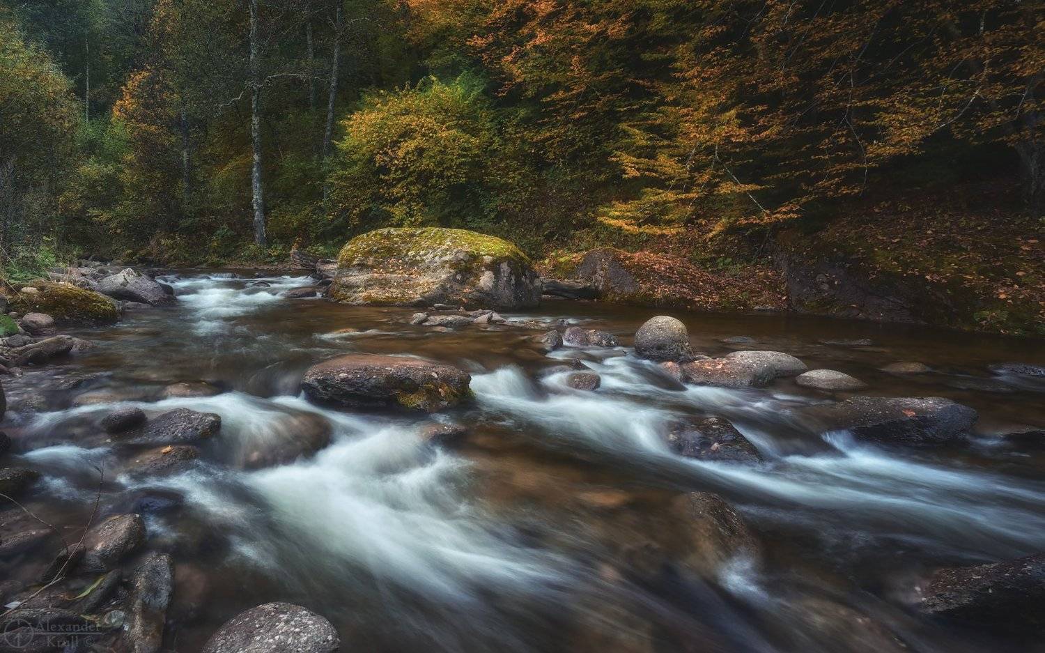 , Александр Круль