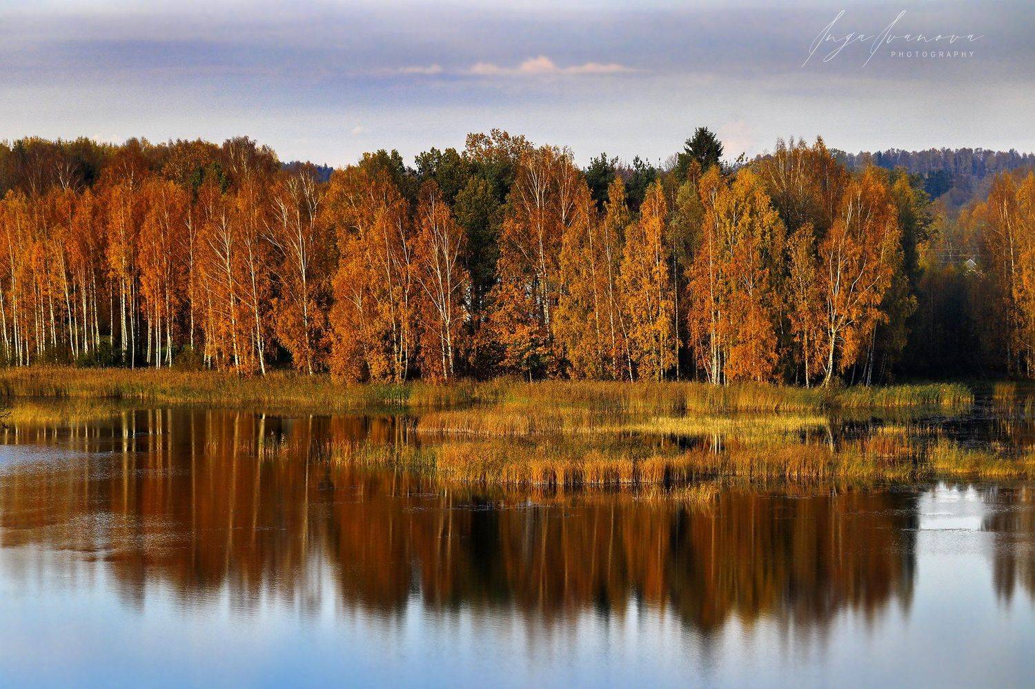 , Инга Иванова