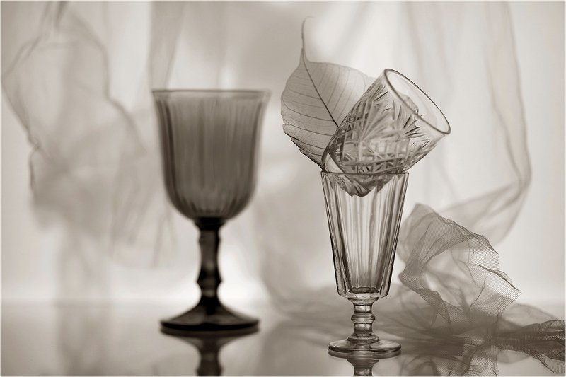 рюмка, бокал, драпировка, лист, сепия, натюрморт,  фото превью