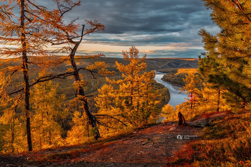 саха якутия, якутиямоя, нерюнгри, чульман, осень, желтый Желтое фото превью