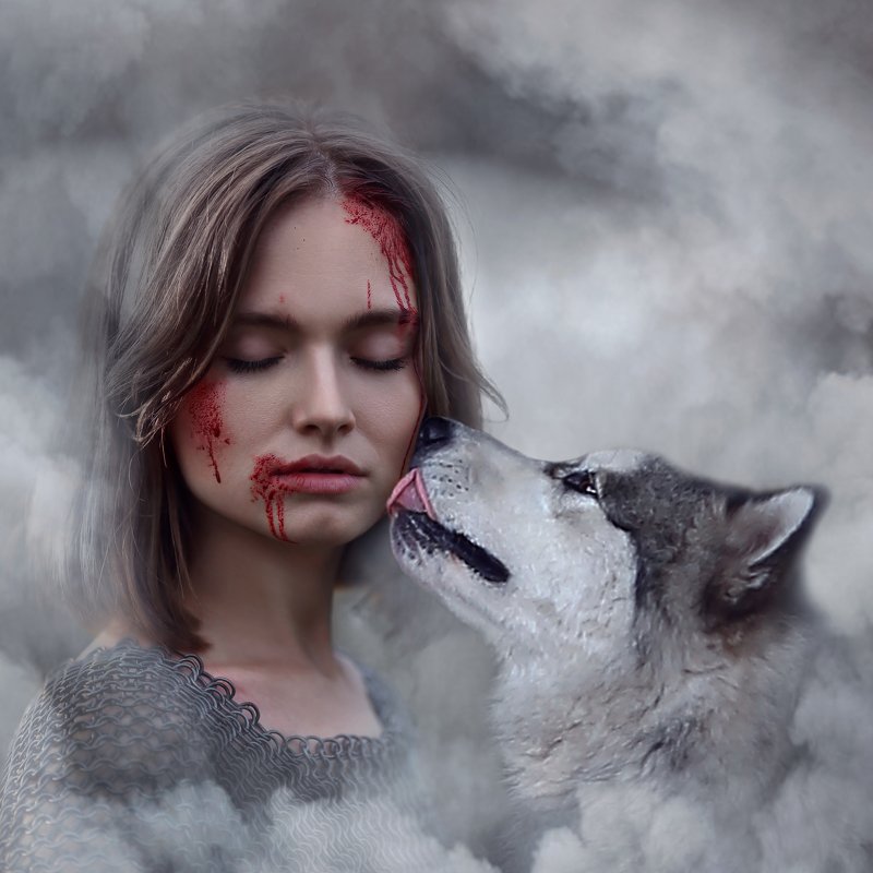 маламут, аляскинский маламут, кровь на лице, кольчуга, скиф, лучший друг, лайка  фото превью