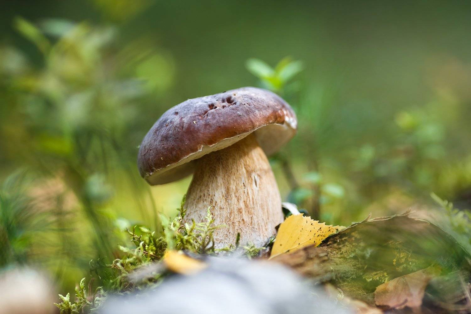 , Ирина Горюкина