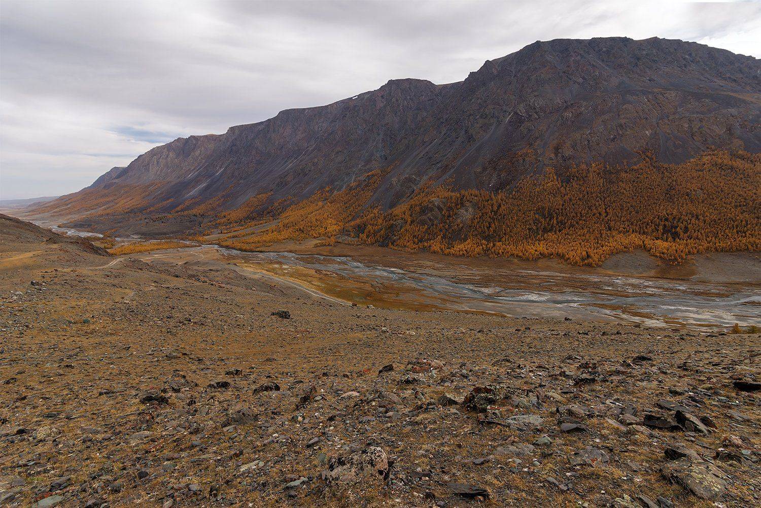 , Дмитрий Д.