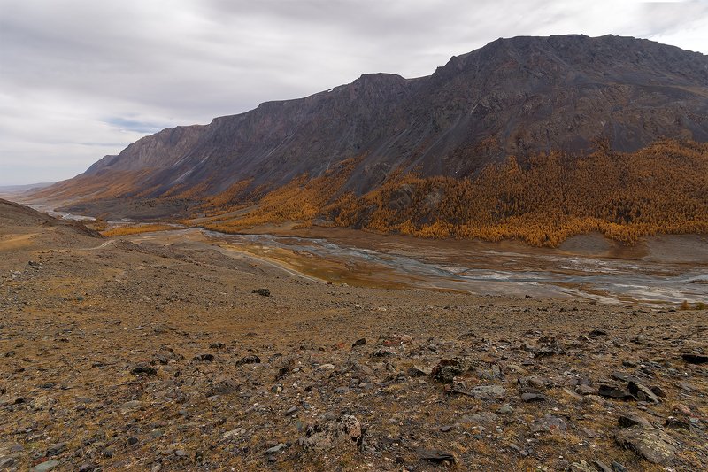 Осеннее настроение... фото превью