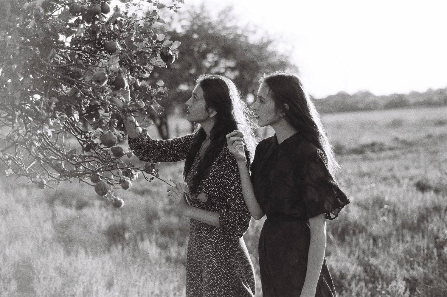 , Александр Орлов