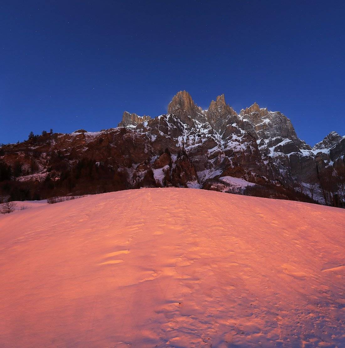 swiss, Матвеев Николай