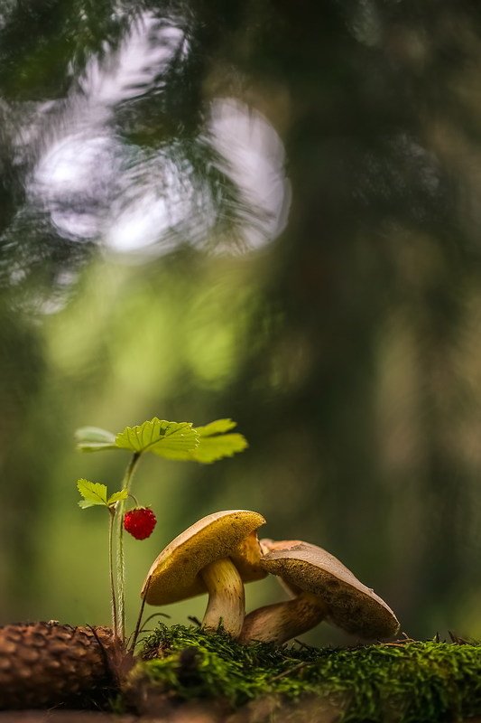 Вдвоем фото превью