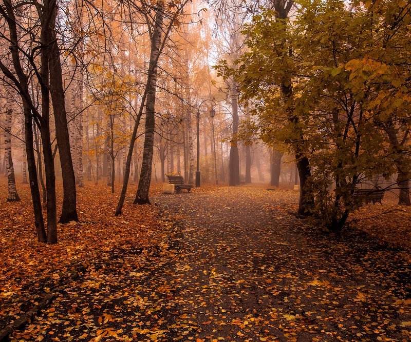 Золотая осень  фото превью