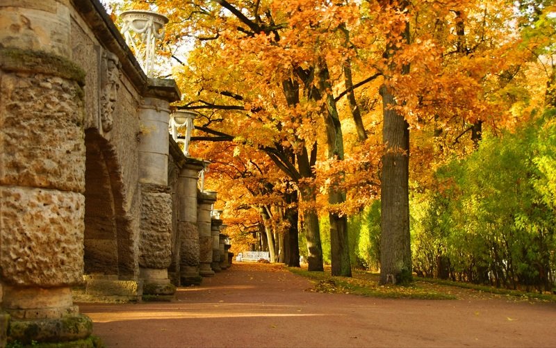 Autumn morning фото превью