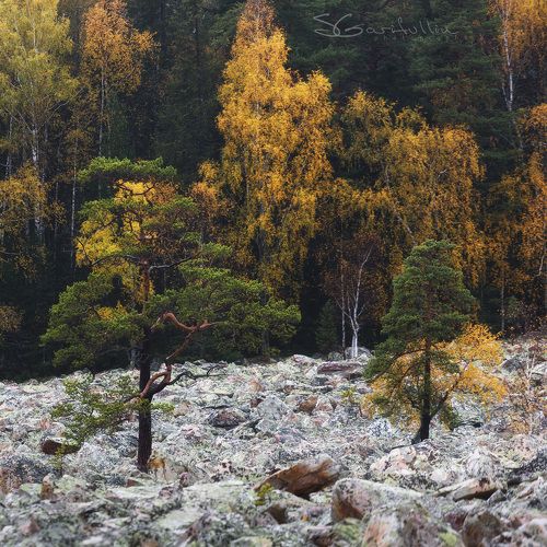 Уральская КАМЕННАЯ река