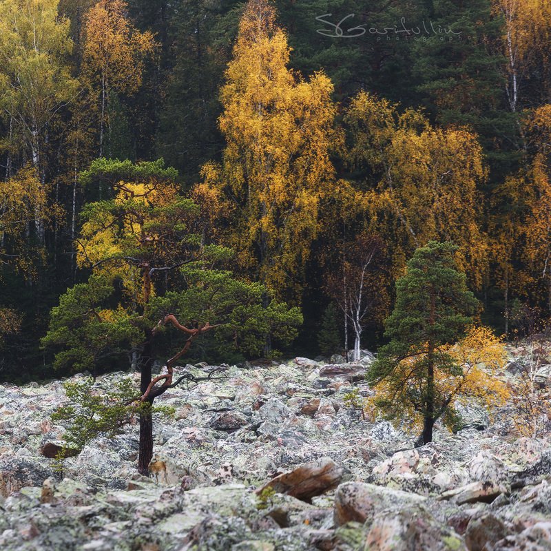 таганай, урал, южный урал, каменная река Уральская КАМЕННАЯ река фото превью