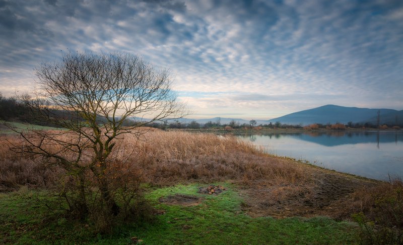 Для тех, кто рано встаёт... фото превью