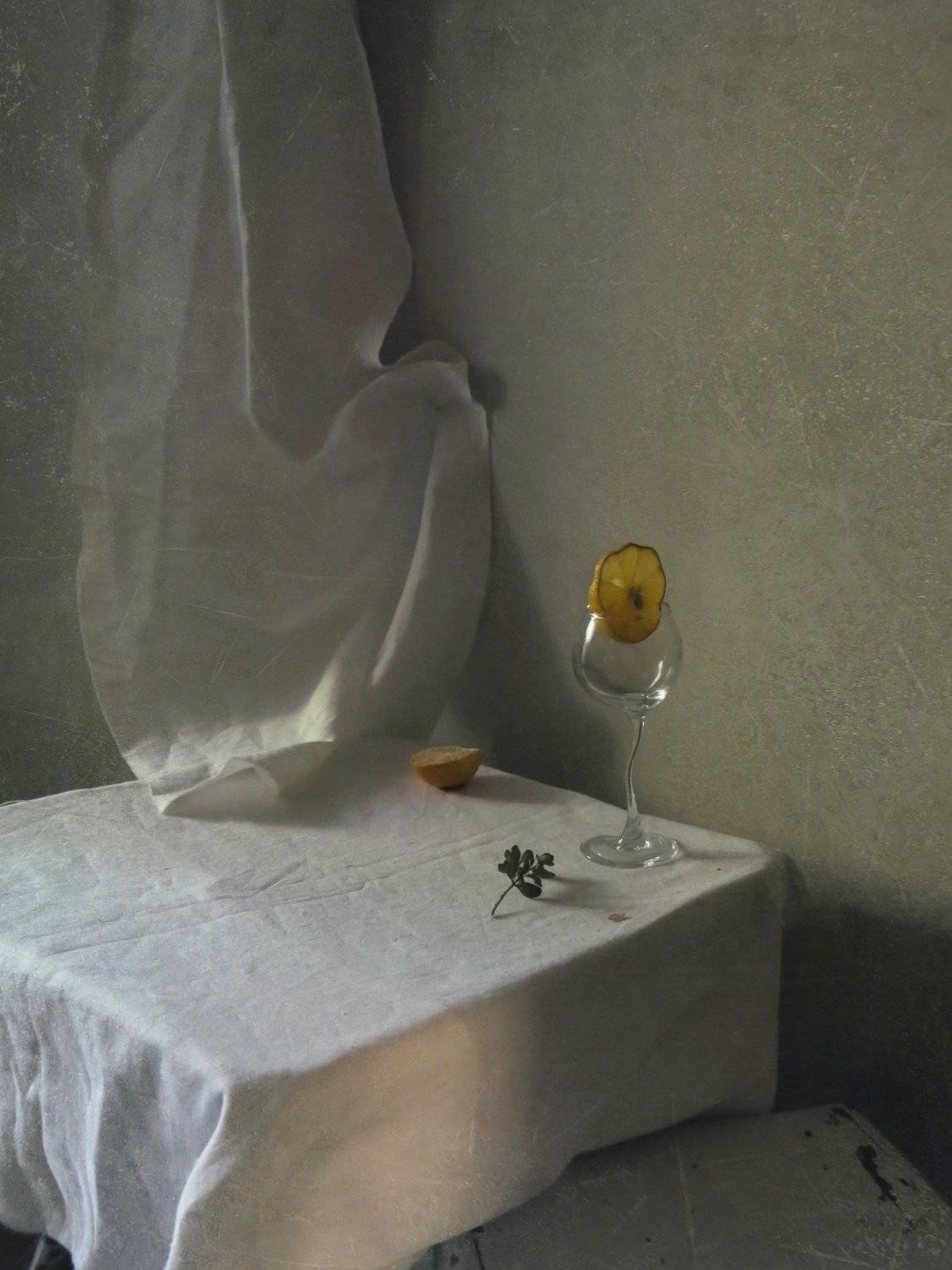 , Елена Лысенко