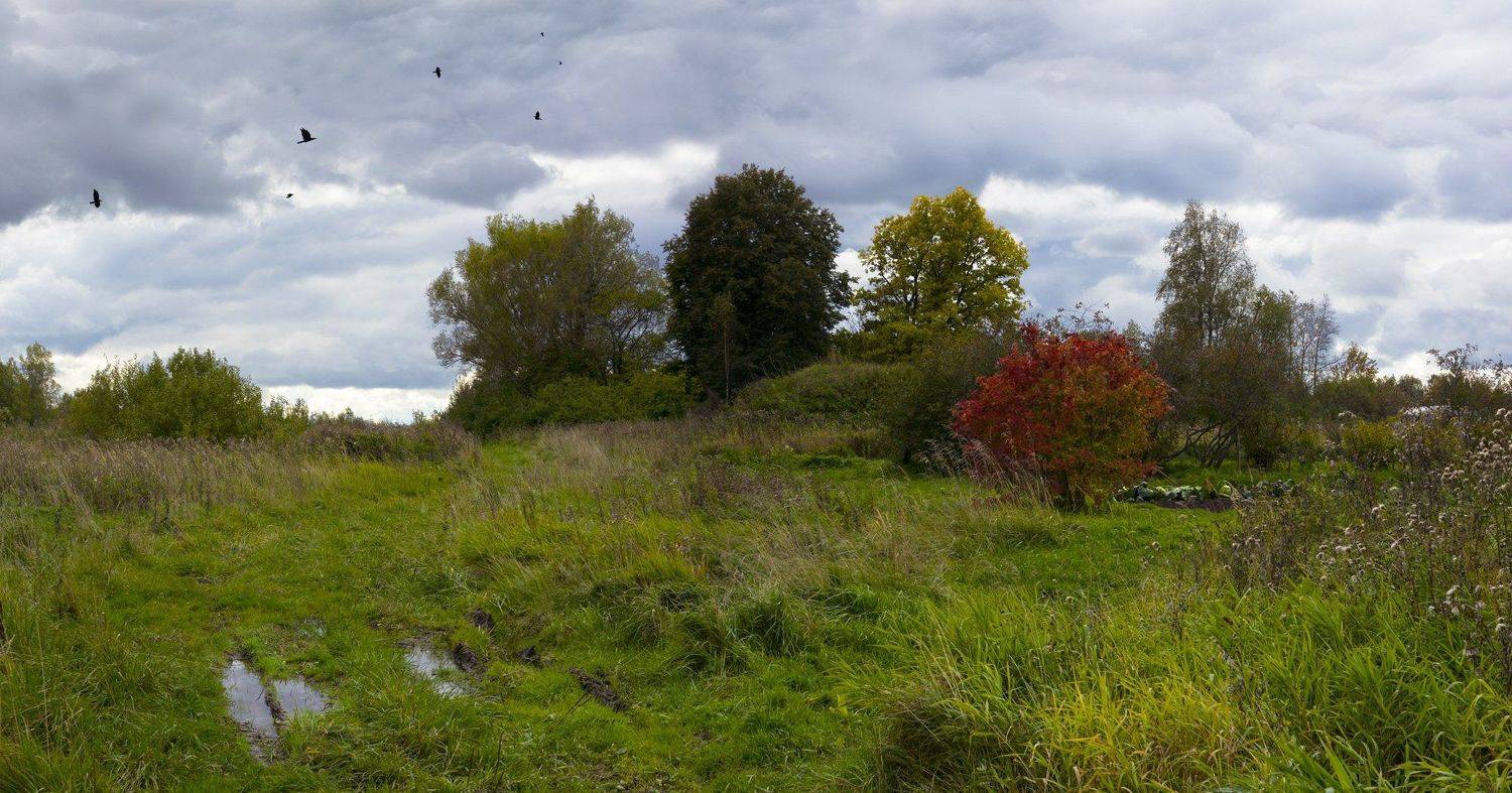 , Герман Корнилов