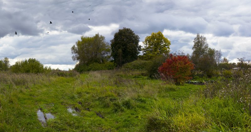 Конец сентября. Поблизости от Ростова фото превью