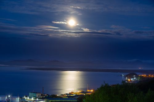 Лунная соната 