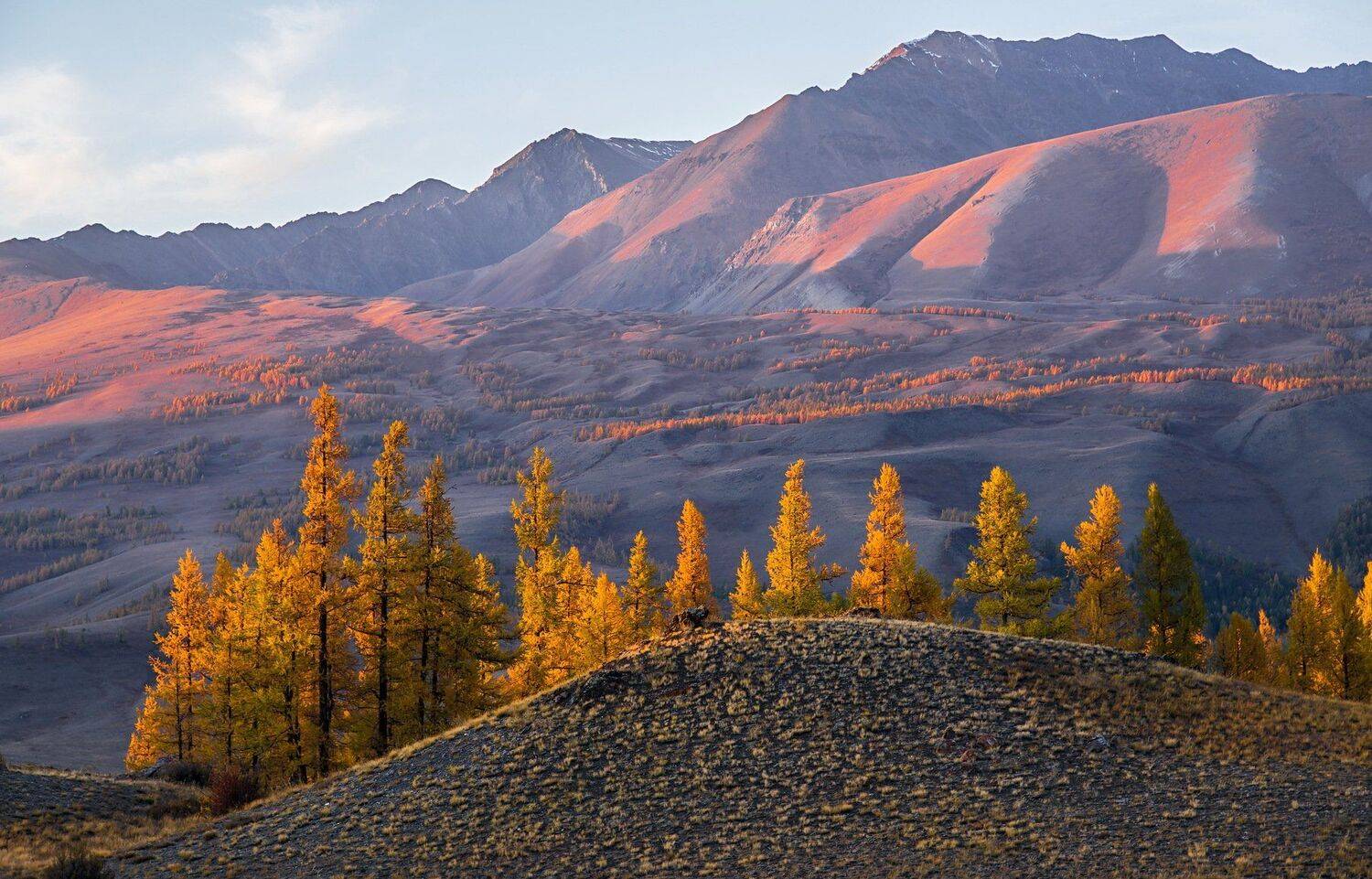 алтай. горы. осень, Евгений Дроботенко