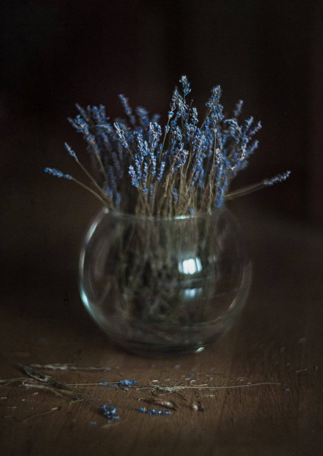 , Владимир Жуков