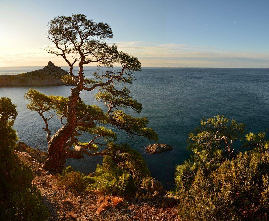 , Владимир Метцгер