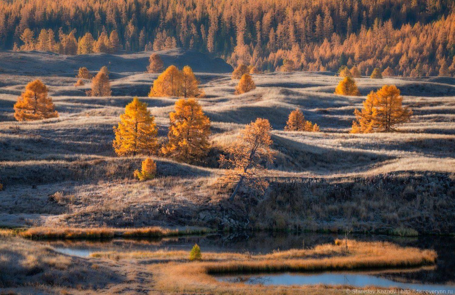 осень, Алтай, Станислав Казнов